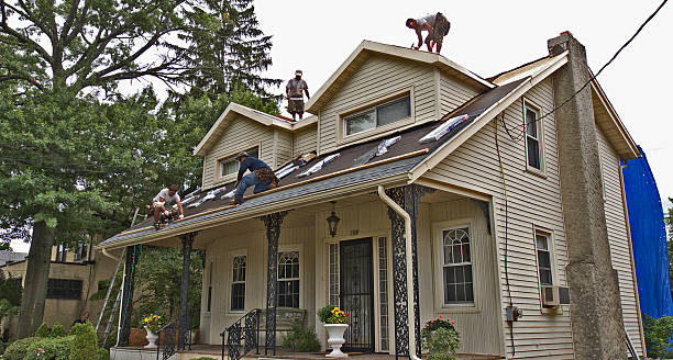 Best Metal Roofing Contractor  in Morton Grove, IL