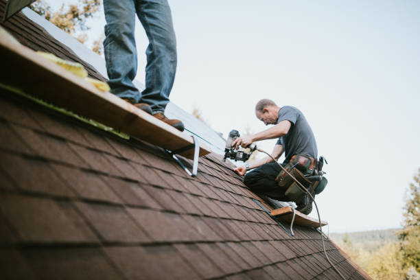 Best Roof Gutter Cleaning  in Morton Grove, IL